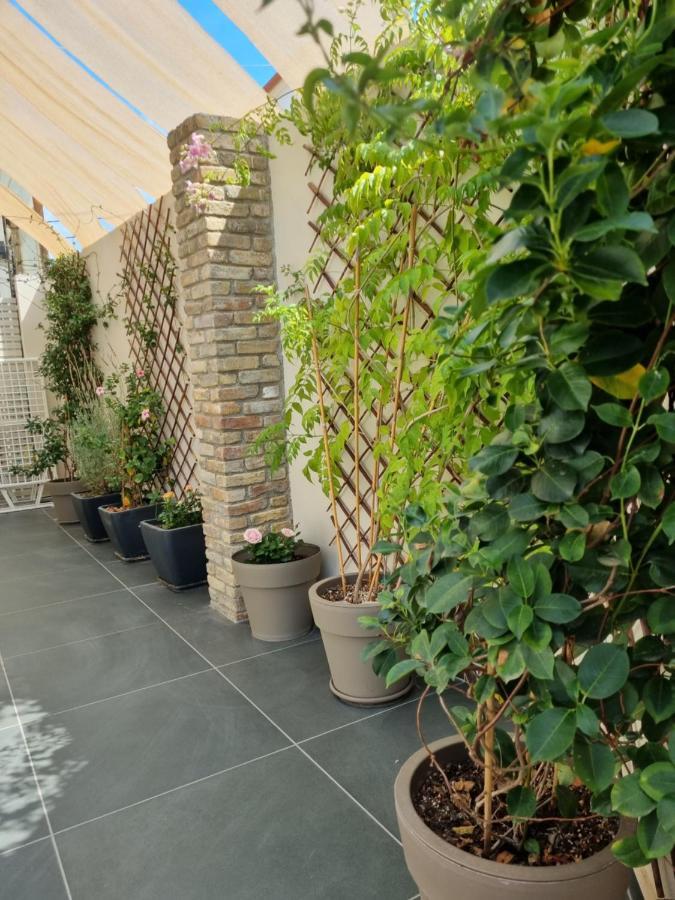 Harmony Residence 卡沃斯 外观 照片